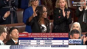 Democrats Go WILD At Speaker Vote | American Voices