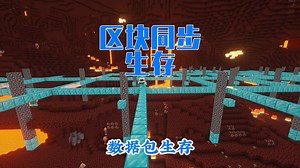 当玩家操作可以同步整个世界区块，我要如何生存呢，区块同生存