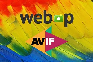 Los formatos de imagen WebP y AVIF son un engorro. Y pese a ello se están adueñando de toda la red