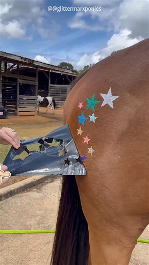 She Made Her Horse UNIQUE… Now Everyone Wants It! 🐎✨