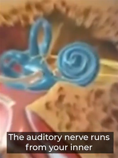 Effective Methods for Tinnitus Relief