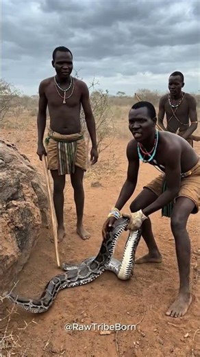 Hadzabe Hunters vs Giant Python | Survival Skills in the Bush #triballife #tribalfood #shorts