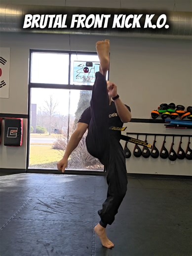 Brutal Front Kick K.O. in Martial Arts