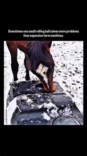 This Simple Ball Is Revolutionising Farming Forever 🐄😱 #facts #viral #mindblown #youtubeshorts#fyp