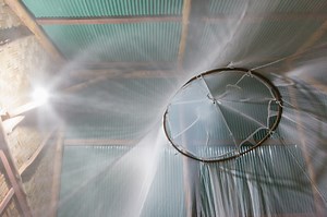 Combating Dengue: Ten Essential Strategies – Archyde