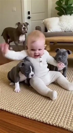 🐶 Puppy Cries… Mom Dog Says STOP! 😱#pets #funny #cat #dog #animals