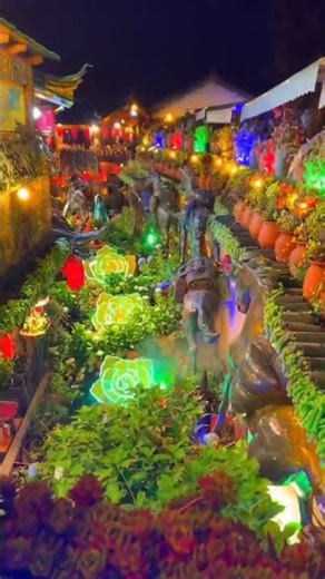 AI Observes Rainforest Lizards 🦎🌴🤖