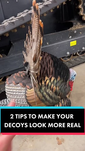 Bowmar Bowhunting on TikTok