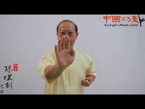 wing chun course online----wing chun form tutorial