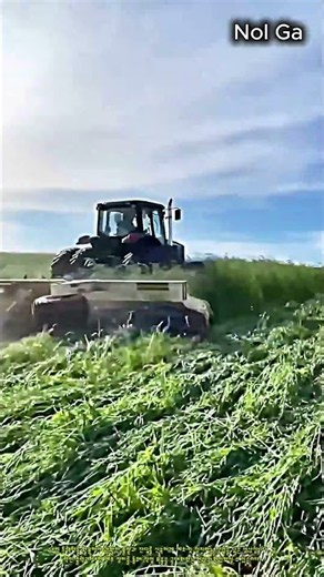 존디어 트랙터의 강력한 풀베기 작업 현장 #worker #process #johndeere #tractor #mowing