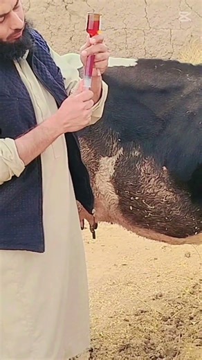 Autohemotherapy (AHT)د حيوان د رګ څخه وينه اخيستل کيږي بیرته ورته تزریق کيږي په غوښه او تر پوست کې