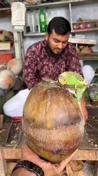 How to make a bird's nest from coconut husks. See the complete process.#fypシ゚viral
