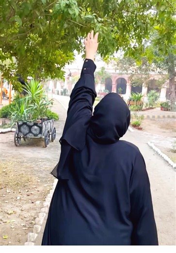 Master CapCut Velocity Effects for Stunning Videos