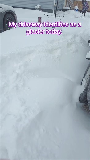 "I asked for a white winter, but I didn't mean the 'witness protection program' level of coverage." #TrustTheSoup #snow #fypシ #fbreels #blizzard | Christina Sell | Facebook