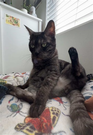 stankbuuuggg (@stankbuuuggg)’s videos with original sound - stankbuuuggg