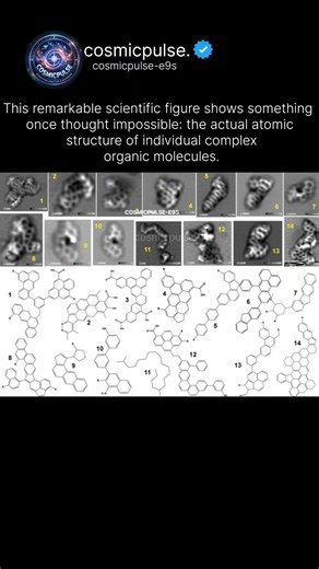 Atoms Photographed in Real Molecules