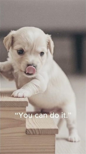 You Can Do It 🐶 Puppy’s First Time Going Down the Stairs #YouCanDoIt