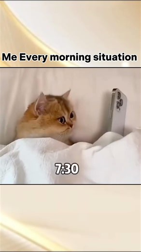 Me every morning fighting for my life with the snooze button like it owes me money. 😭⏰