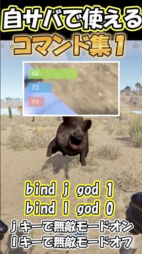 【RUST】自サバでよく使うコマンド集 ※ほぼ自分の保存用ｗ