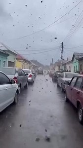 During a rainstorm, something extraordinary appears to be happening — frogs seem to be falling from the sky. Onlookers react with shock as they record the strange event. The combination of rainfall and unexpected movement creates a surreal atmosphere. A rare and surprising moment caught on camera. This text and video are entirely fictional and created using artificial intelligence. | Anatolii Marynyuk