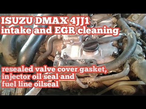Isuzu Dmax 4jj1 intake and EGR cleaning. re sealed valve cover gasket, injector,fuel line, leaking