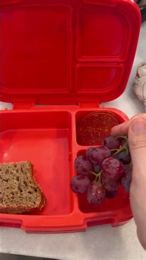 Easy lunch ideas for kids! #lunch #food #healthy #lunchideas #budget #summer #easy