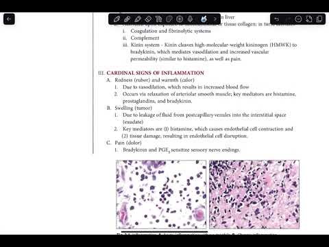 Read Along- Pathoma Chapter 2