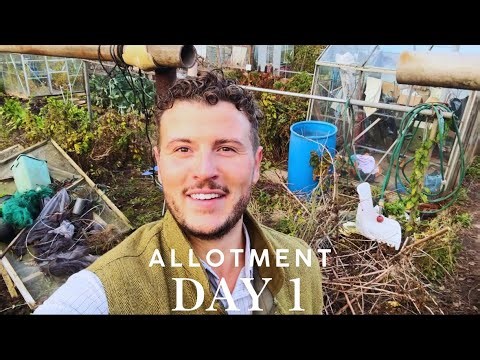 Getting My Allotment after 1 years wait | Allotment Transformation New/ALLOTMENT GARDEN UK