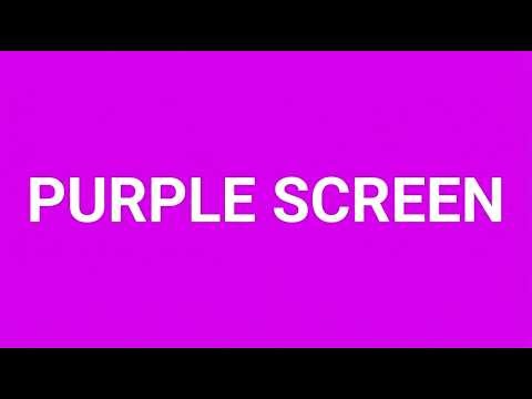 🟪 PURPLE SCREEN 💜 | 4 Hours of Solid Purple Color Relax