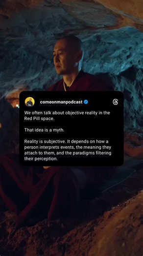 We often talk about objective reality in the Red Pill space. That idea is a myth. Reality is subjective. It depends on how a person interprets events, the meaning they attach to them, and the paradigms filtering their perception.