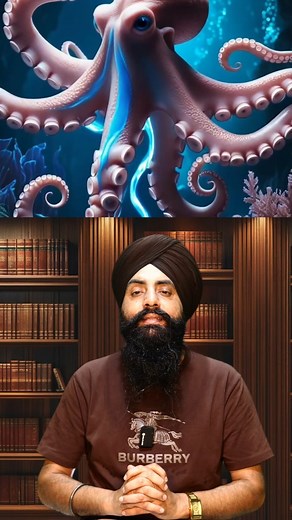 JoT Tv Australia | The Intelligent Octopus: Unbelievable Facts and Abilities #OctopusFacts #MarineLife #Cephalopods | Instagram