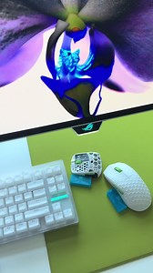 OLED PC Setup Mistake: Quick Fixes for Your Monitor