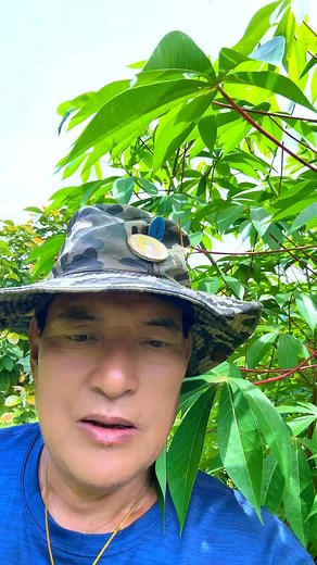 14K views · 409 reactions | Livestock projects too ll create employment opportunities in various roles, from farm attendants and animal husbandry to management and sales, contributing to economic prosperity….my thought | Dung Tshering | Facebook