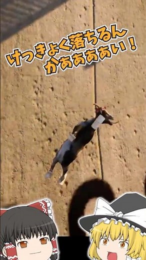 [Goat Simulator 3 #4] A goat gets kicked away by a panicked worker [Reimu and Marisa] [Goat Simul...