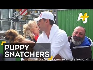 Homeless Man's Puppy Taken By Animal-Rights Activists