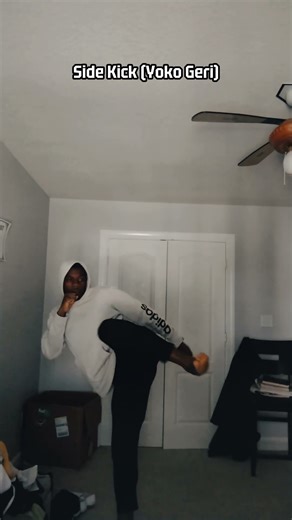 Basic Karate Kicks (that I can do currently) #karate #martialarts