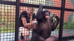 8.4K views · 466 reactions | This video of Genesis is guaranteed to...