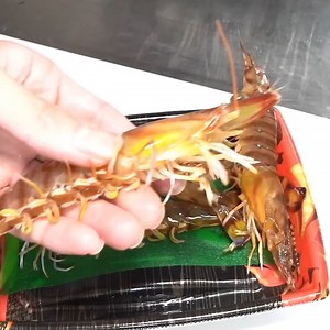 745K views · 3.6K reactions | Raise a shy tiger prawn as a pet. By Noringo | YT | 9GAG | Facebook
