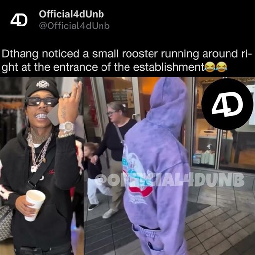 Dthang noticed a small rooster running around right at the entrance of the establishment😂😂