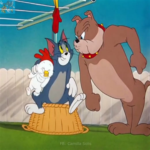 22K views · 453 reactions | tom and jerry best classic cartoon show ever 2024 #tomandjerry #tomandjerryfunny #tomandjerrycartoon | Classic Papa | Facebook