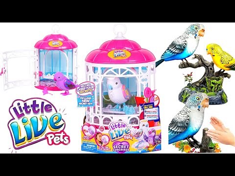 UNBOXING INTERACTIVE TOY Moose Little Live Pets Bird in a Cage Pink| SINGING PARROTS