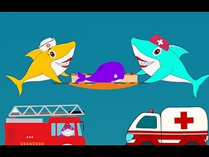 Doctor Shark Help Baby Whale | Baby Whale Goes To Hospital | Baby Shark Cartoon For Kids