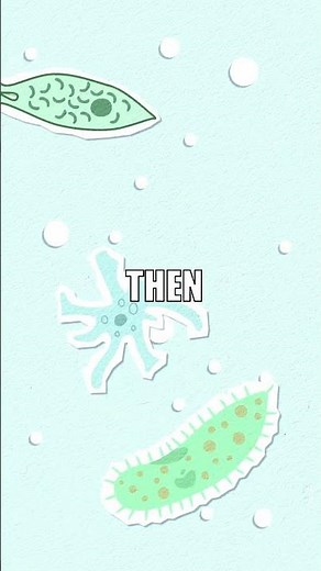 Cells Commit Suicide?! Apoptosis Explained