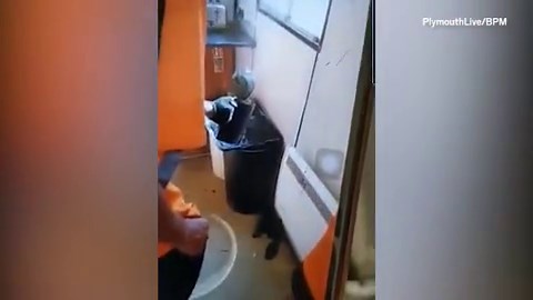 Warning: Workers laugh after boiling rats in a bin using a kettle