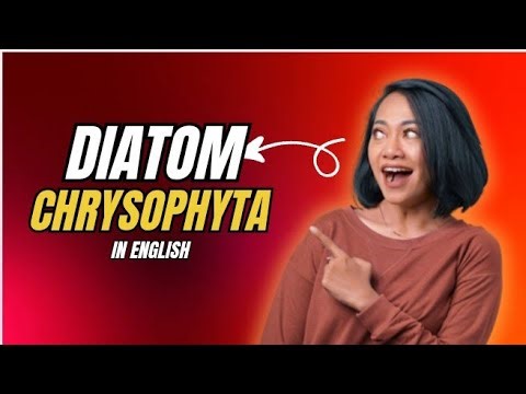 Diatoms Explained | Chrysophyta | Complete Biology Lecture|In English