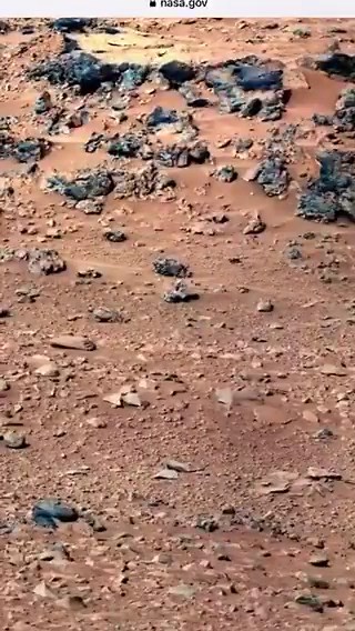 🔴 Meanwhile on the Planet MarsNASA just screwed up again as some Eagle eye observer noticed they captured a Rat living happily in one of their recent images 140,000,000 miles away from Earth. The official excuse is “it’s just a rock”….