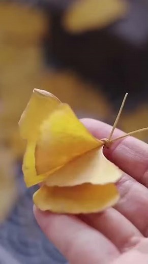 How to Make Ginkgo Leaves Butterfly