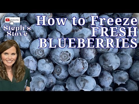 HOW TO FREEZE FRESH BLUEBERRIES 🫐 - Steph’s Stove