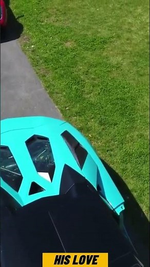 Extravagant car collection showcase