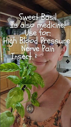 Sweet Basil! Herbs for your Health!